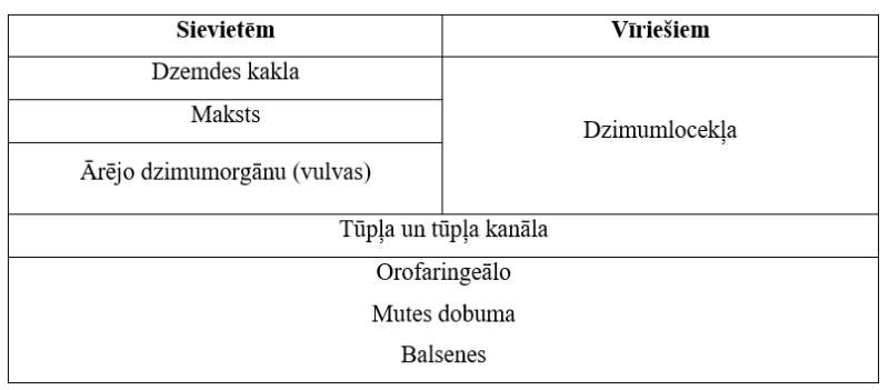 tabula