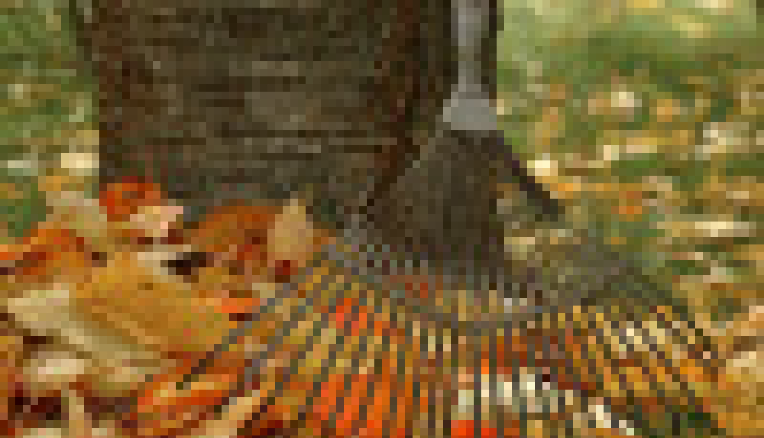 attēls