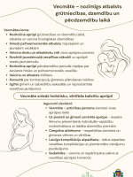 Infografiks