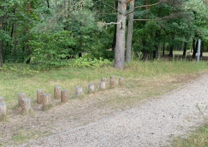 Rīgas veselības maršruts