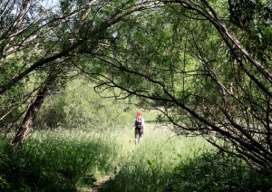 Veselības maršruts Ventas rumba