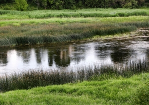 Veselības maršruts Venta