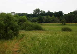 Veselības maršruts Ventas rumba