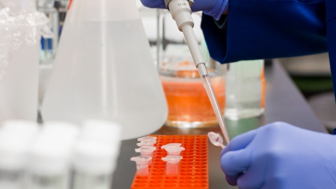 Laboratorijas izmeklējums