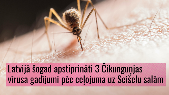 Ods kož cilvēka rokas ādā