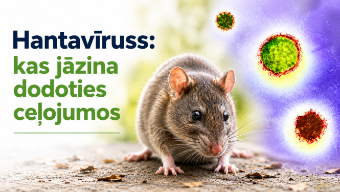 Attēlā žurka un relīzes virsraksts