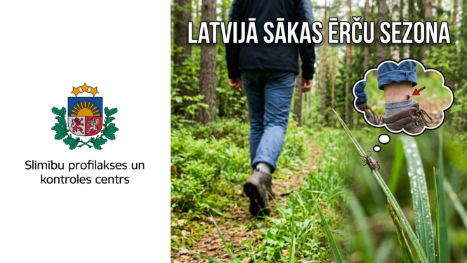 Cilvēks staigā pa mežu un uz zāles stiebra sēž ērce