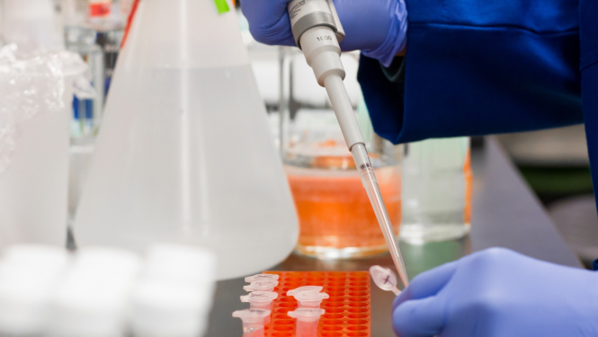 Laboratorijas izmeklējums