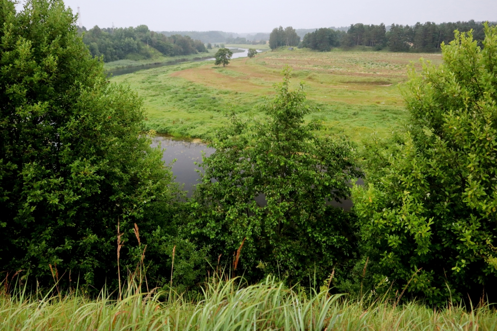 Veselības maršruts Veckuldīgas pilskalns