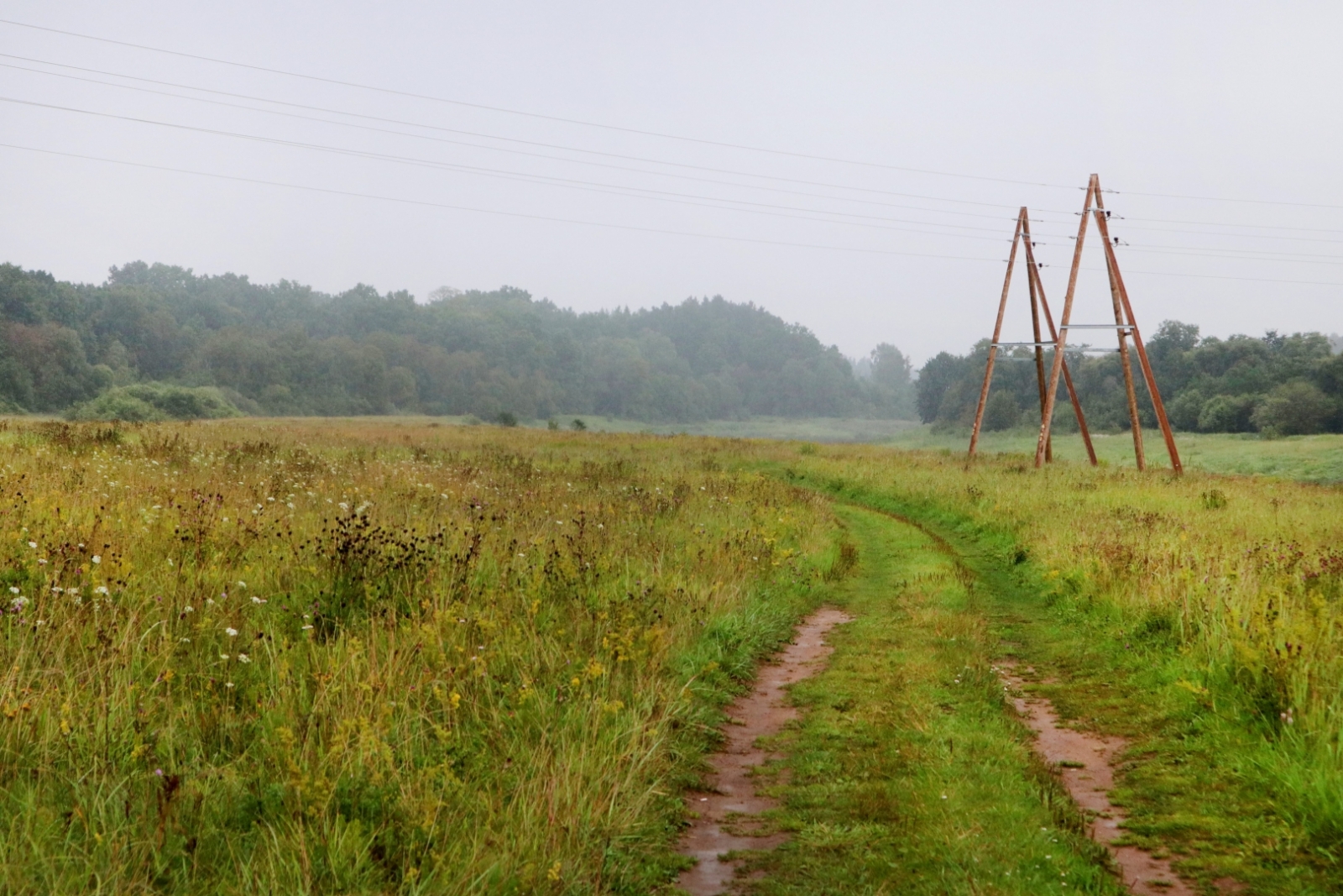 Veselības maršruts Veckuldīgas pilskalns