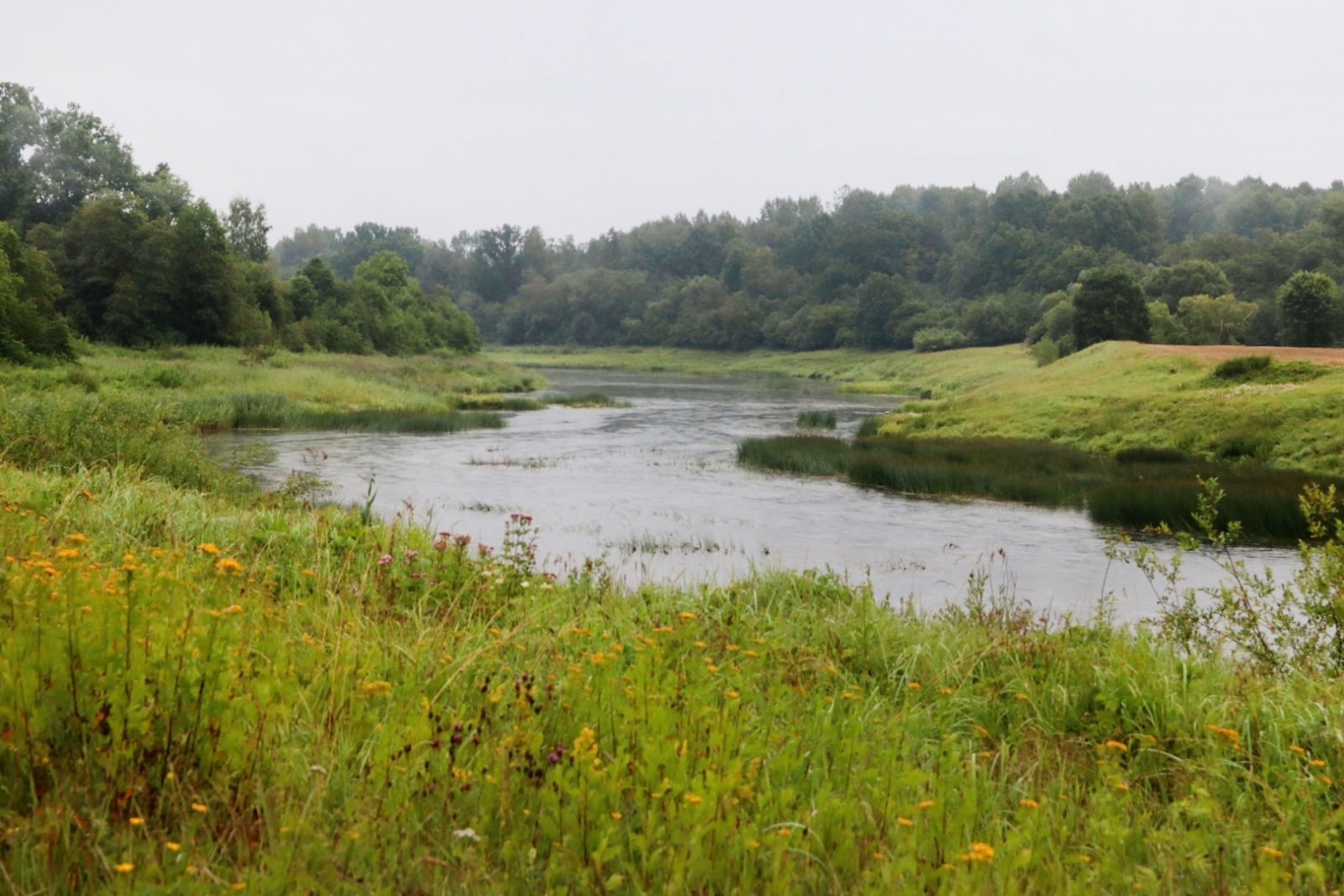 Veselības maršruts Veckuldīgas pilskalns