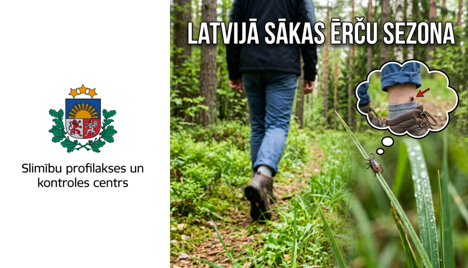 Cilvēks staigā pa mežu un uz zāles stiebra sēž ērce