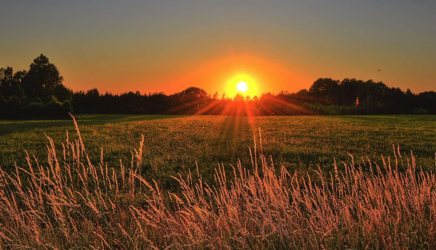 saulrieta skats, centrā saule, priekšplānā pļava